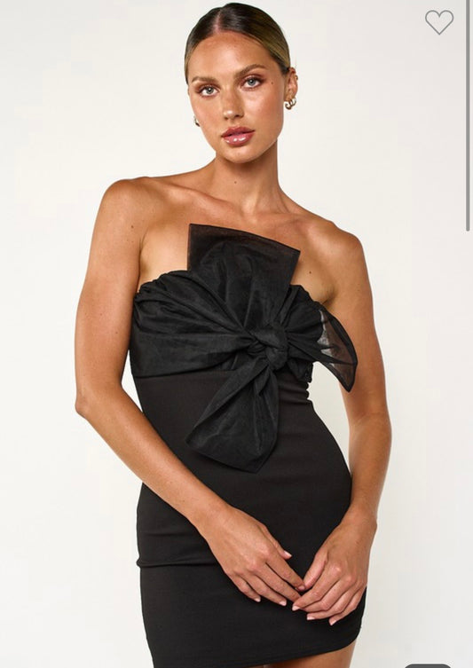 Tule Mesh Black Dress