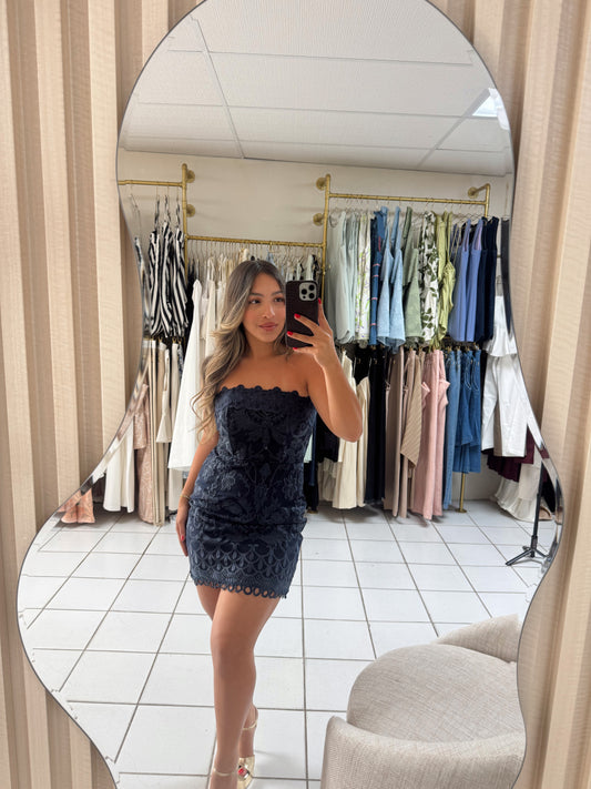 Embroidered Lace Tube Dress