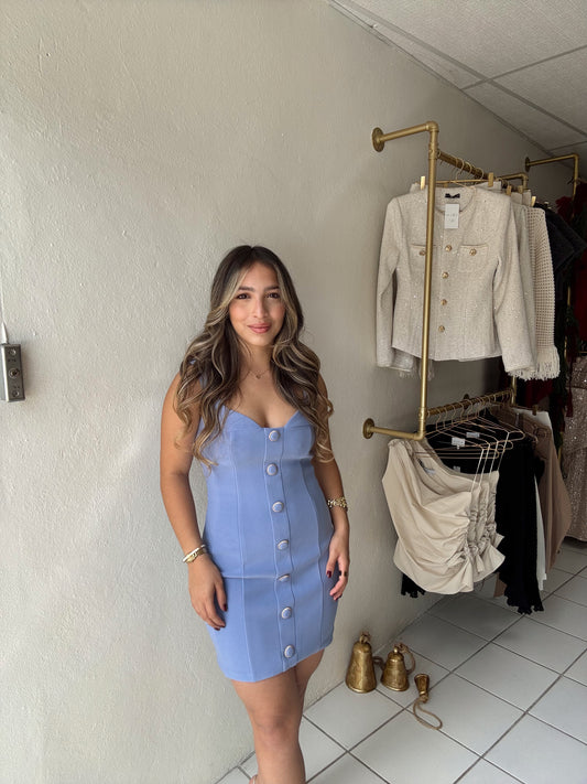 Lavender Fitted Dress