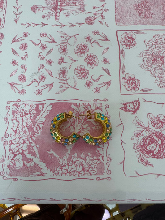 Stunning Earings