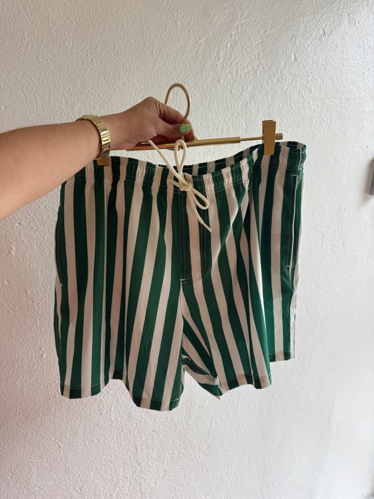 Stripe Men Swim